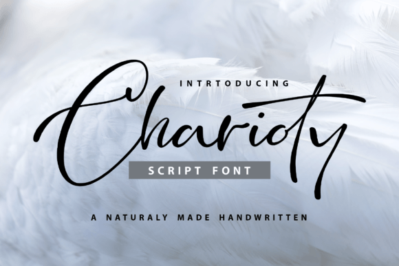 Charioty: A Stylish Script Font for Marketers and Creators