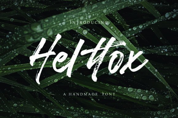 Helttox Brings Handcrafted Warmth to Modern Branding