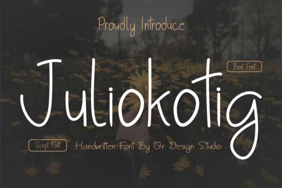 Juliokutig Typeface Review for Web Designers