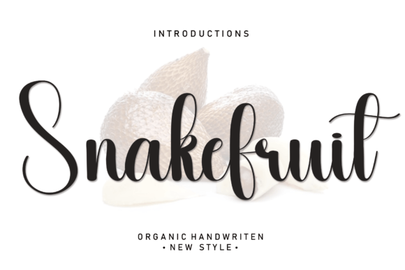 Snakefruit: A Handwritten Font That Earned Its Place in My Web Design Workflow