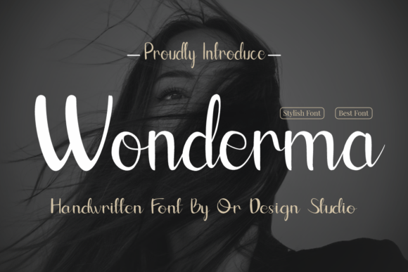 Wonderma Font: A Bold Display Typeface for Campaign Creators